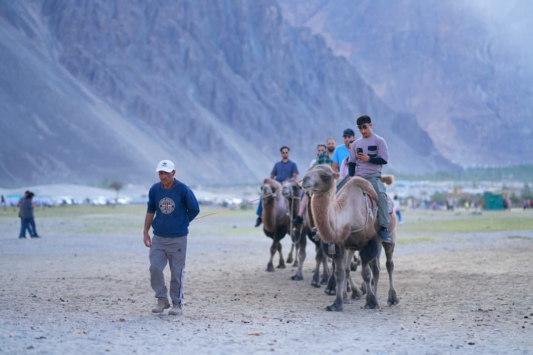 2026 Klook 優惠碼整理｜折扣碼+信用卡回饋最強攻略